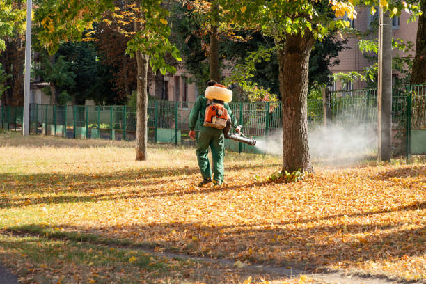 Best Wildlife Control Services  in Macclenny, FL