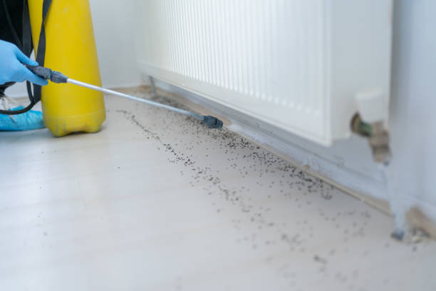 Best Affordable Exterminators  in Macclenny, FL