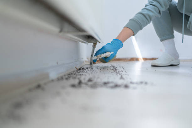 Professional Pest Control in Macclenny, FL